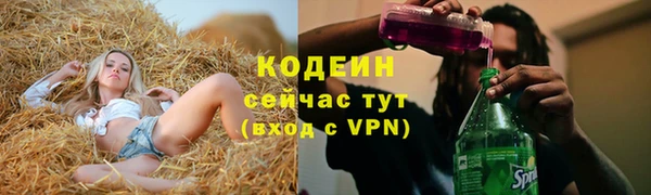 крисы Бородино