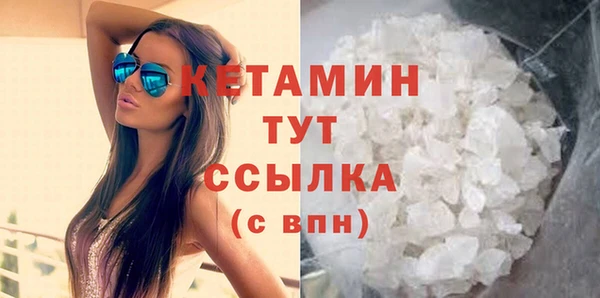 крисы Бородино