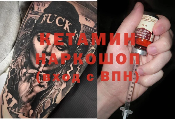 крисы Бородино