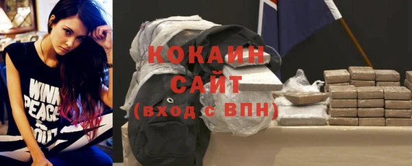 крисы Бородино
