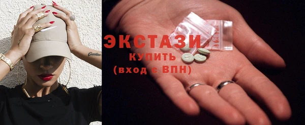 крисы Бородино