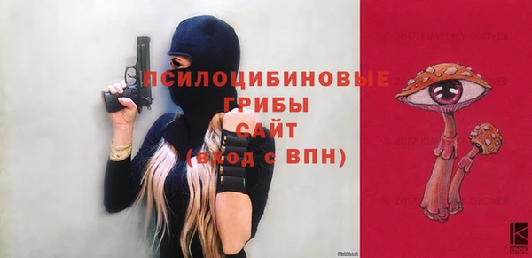 крисы Бородино