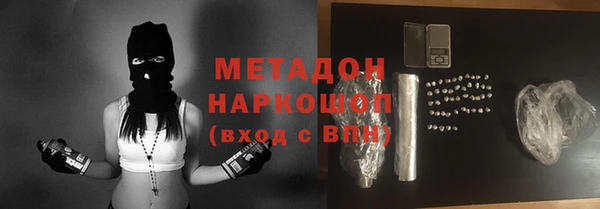 крисы Бородино