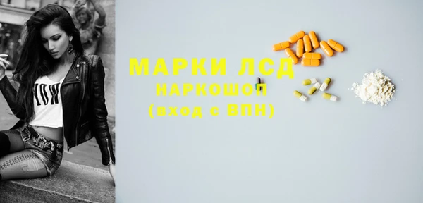 крисы Бородино