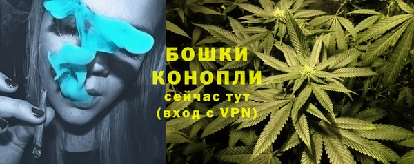 крисы Бородино