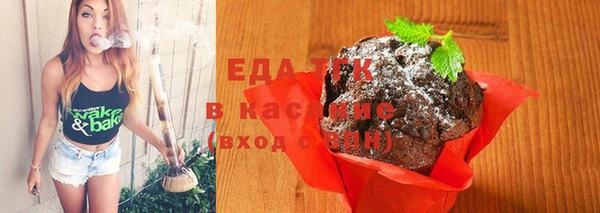 крисы Бородино
