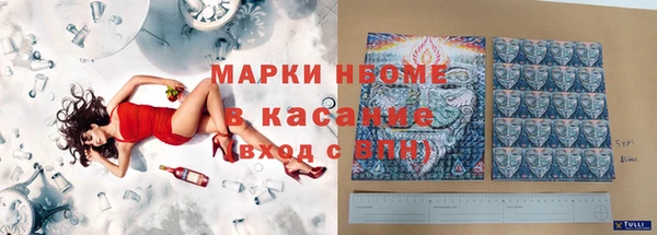 крисы Бородино