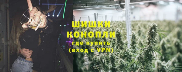 крисы Бородино