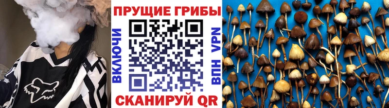 гидра ссылка Мирный Псилоцибиновые грибы Magic Shrooms как найти закладки